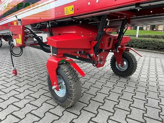 Cosechadora - arrancadora de patata - Grimme - tc 813 - rental