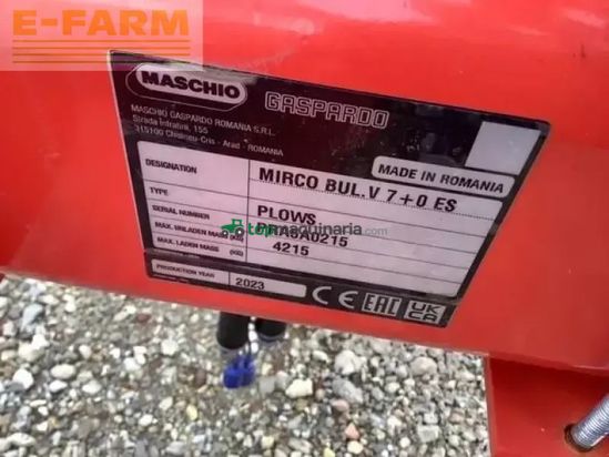 Arado - Maschio - mirco 7