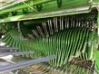 Empacadora gigant - Krone - comprima cv 150 xc plus