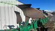 Arado - Regent - taurus 200 t-cx