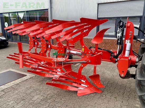 Arado - Maschio - unico m passo 4+