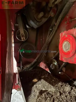 Cosechadora - arrancadora de patata - Grimme - se 150 - 60 ub