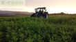 Tractor agrícola - Valtra - g135 smarttouch cvt