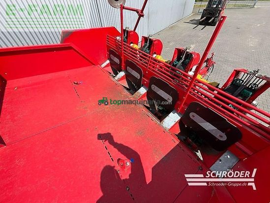 Cosechadora - arrancadora de patata - Grimme - gl 34 t