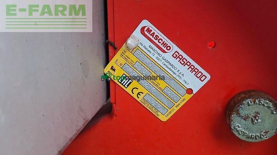 Esparcidor - Maschio - primo m 213