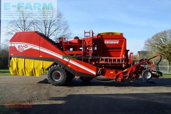 Cosechadora - arrancadora de patata - Grimme - evo 290 easysep