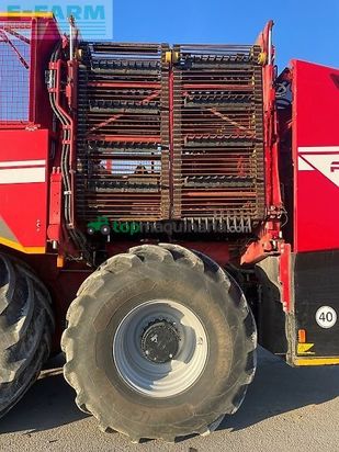 Cosechadora de Cereal - Grimme - rexor 6300 platinum