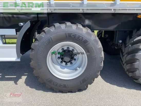 Cinta transportadora de forraje - Fliegl - ass 298 agro truck 50 jahre
