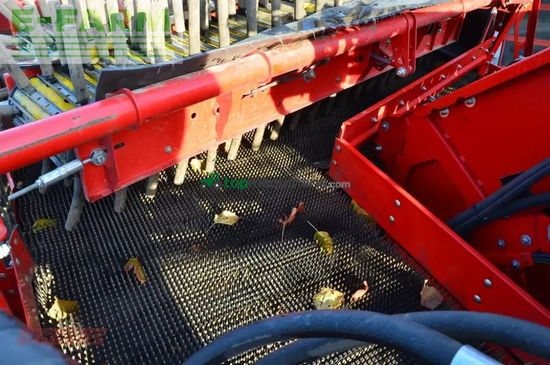 Cosechadora - arrancadora de patata - Grimme - evo 280 clodsep gen ii