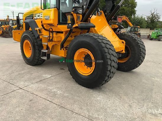 Minicargadora - JCB - 437 wheeled loading shovel (st23075)
