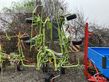 Henificador - Claas - volto 58