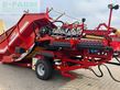 Cosechadora - arrancadora de patata - Grimme - rh 24-60 cf - rental