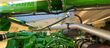 Cosechadora de Cereal - John Deere - 8600