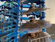 Grada de disco - Lemken - rubin 9/600 kua