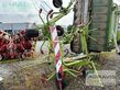 Henificador - Claas - volto 770