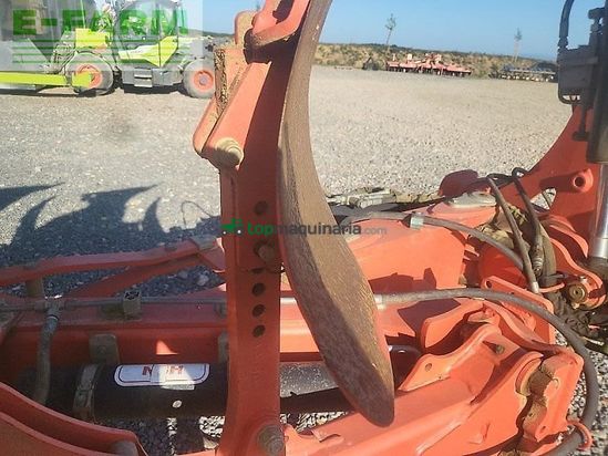 Arado - Maschio - unico 4+1 non stop