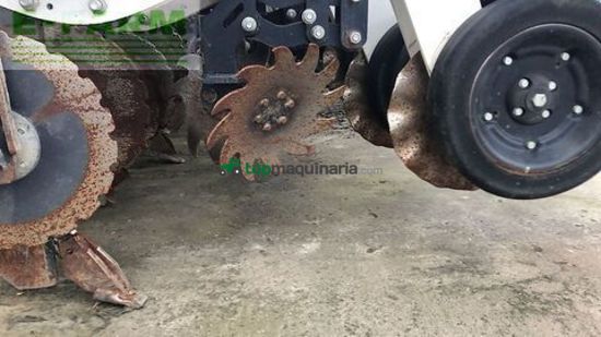 Riego -  - stripcat 2 12-50