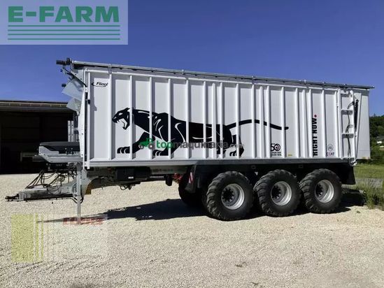 Cinta transportadora de forraje - Fliegl - asw 391 taurus fox tridem