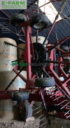 Rastrillo - Lely - hibiscus