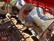 Cosechadora - arrancadora de patata - Grimme - se 150-60