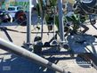 Henificador - Fendt - twister 901 t