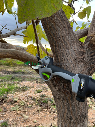 TIJERA DE PODA AGROTOOLS PHOENIX 1200 W