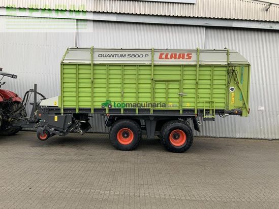 Cinta transportadora de forraje - Claas - quantum 5800 p