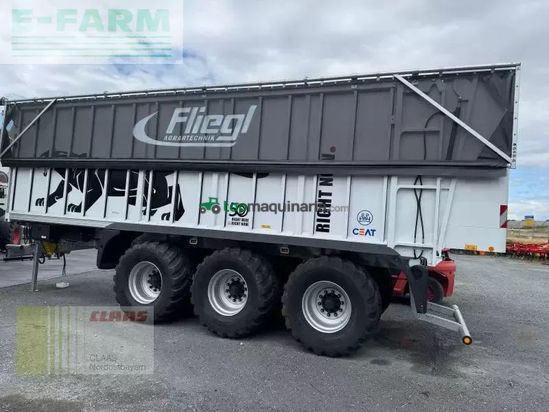 Cinta transportadora de forraje - Fliegl - asw 391 taurus fox tridem