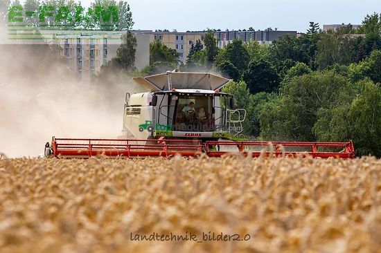 Cosechadora de Cereal - Claas - lexion 780 tt *allrad* + v1230