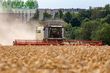 Cosechadora de Cereal - Claas - lexion 780 tt *allrad* + v1230