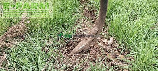 Cultivador - Kockerling - allrounder 900