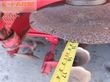 Sembradora - Horsch - pronto 6 dc