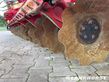 Grada de disco - Horsch - joker 5 ct/minidrill