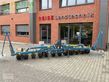Sembradora monograno mecanica - Kleine - unicorn syncrodrive sd