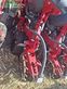 Sembradora monograno mecanica - Horsch - maestro 12 rx