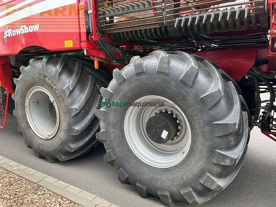 Cosechadora de Cereal - Grimme - rexor 630 rüttelschar ft