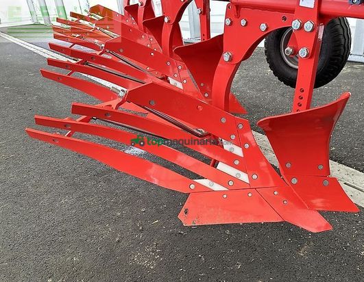 Arado - Maschio - unico m passo 4+ non stop