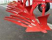 Arado - Maschio - unico m passo 4+ non stop