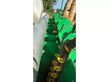 Cosechadora - arrancadora de patata -  - rbs th