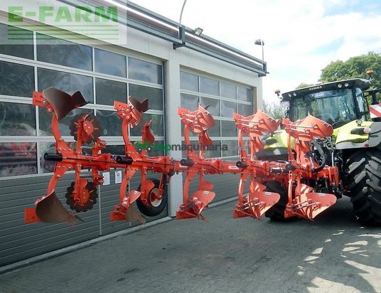 Arado - Maschio - unico l5 +vario nsh
