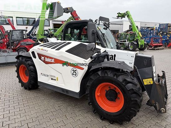 Telescopica - Bobcat - 30.60 da