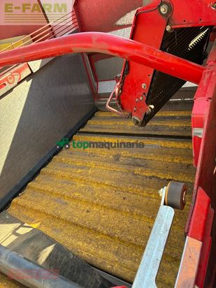 Cosechadora - arrancadora de patata - Grimme - se 260 ub