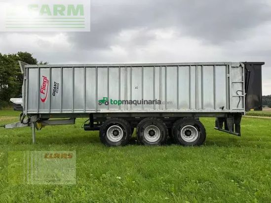 Cinta transportadora de forraje - Fliegl - gigant asw 3101