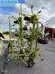 Henificador - Claas - volto 870