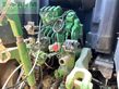 Tractor agrícola - John Deere - 6250r