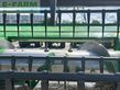Cabezal - John Deere - 722x schneidwerk 6,7m xa 22