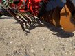 Grada rotativa - Kuhn - optimer l9000