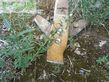 Cultivador - Kverneland - clc 11 87 a00