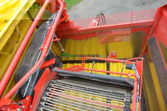 Cosechadora - arrancadora de patata - Grimme - evo 290 clodsep