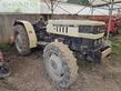 Tractor agrícola - Lamborghini - 774-80